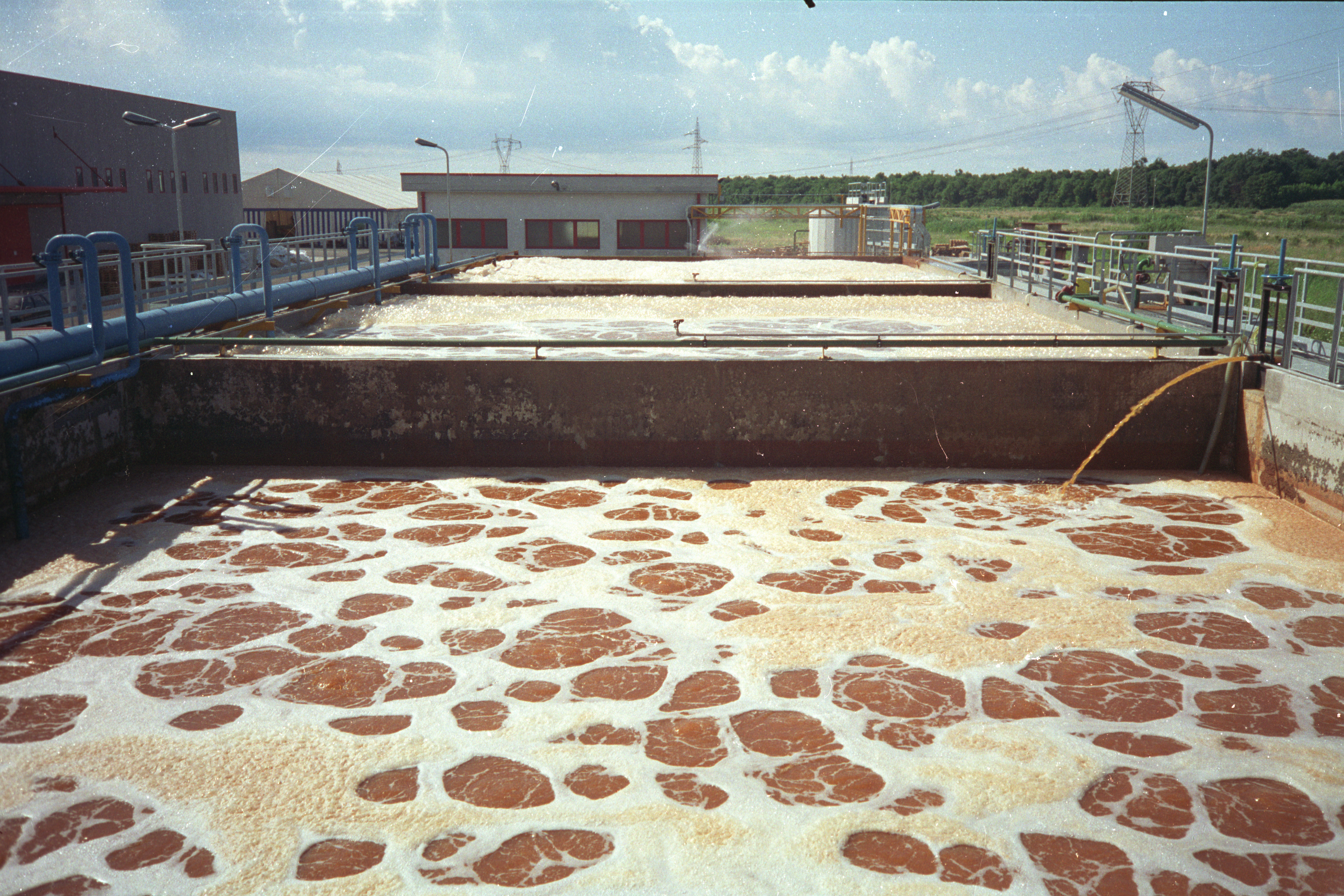 Microbiological Wastewater Treatment