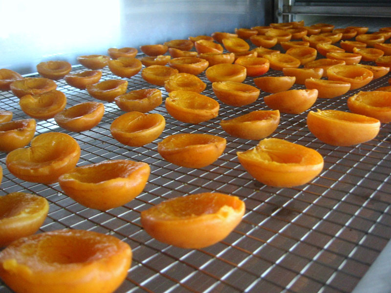 Semi-dry Apricots